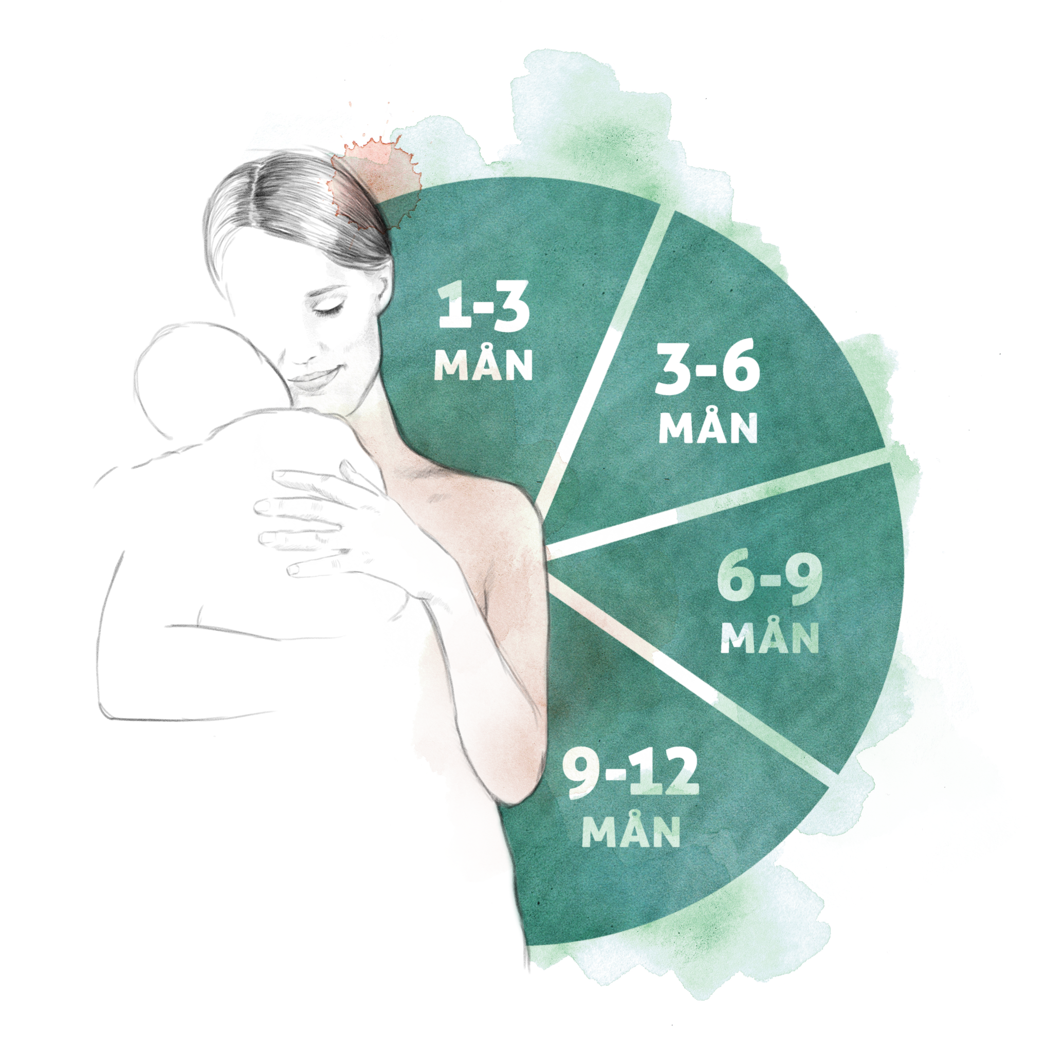 Diagram läkning kvinnokropp förlossning 